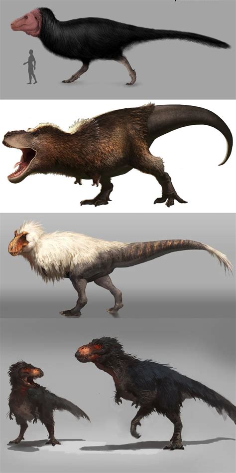 The Tyrannosaurus Rex had feathers and probably looked something like one of these. - 9GAG