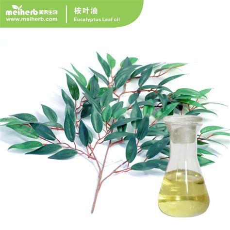 Eucalyptus Leaf Oil