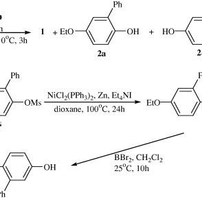 Synthesis of biphenyl from Benzene. | Download Scientific Diagram