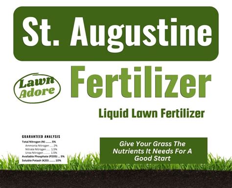 St Augustine Grass Fertilizer - Lawn Adore