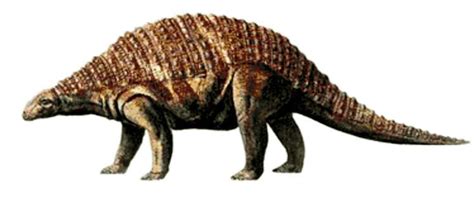 Nodosaurus Pictures & Facts - The Dinosaur Database