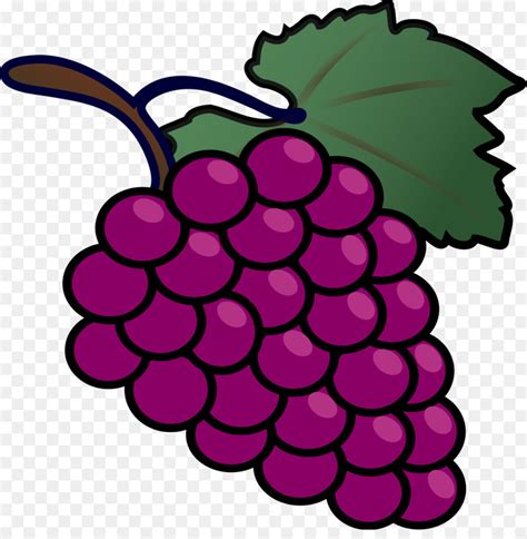 Cartoon Grapes Clipart - Free Grape Vine Images and Illustrations