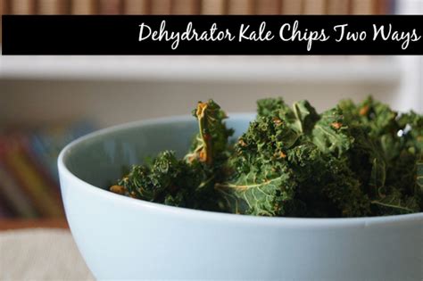 Dehydrator Kale Chips Two Ways + I Am Taking Time Off - Planning With Kids