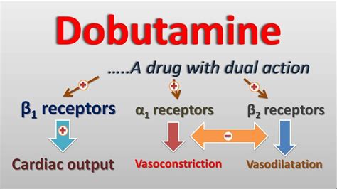 Dobutamine - A drug with dual action on beta and alpha receptors - YouTube