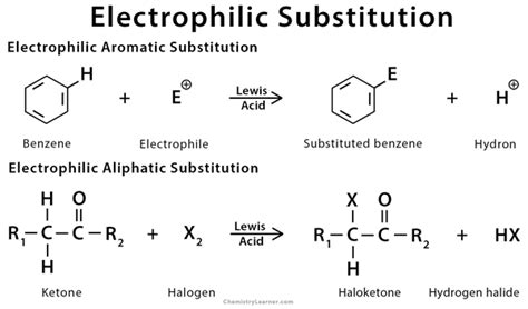 Electrophilic Substitution: Definition and Example