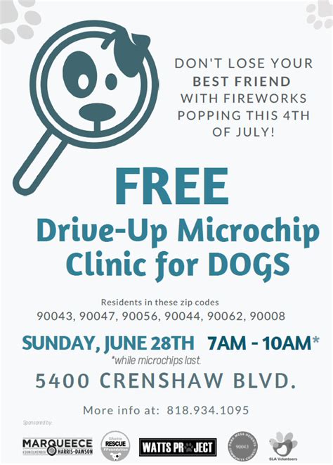 Free Microchip for Dogs – Park Mesa Heights Community Council