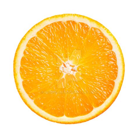 Slice of the cut orange. by PRUSSIAART on DeviantArt