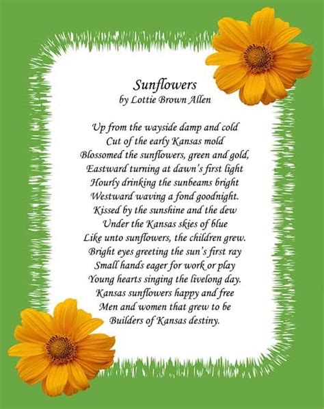 20 Short Sunflowers Poems, Quotes About Love and Life