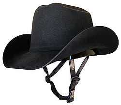 Horses for pleasure riding: Beginners Western and English horse riding equipment