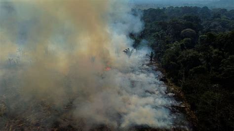 Nearly 2 million acres burnt in Brazil last month - NGO