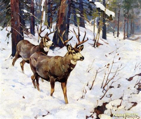 Mule Deer In The Woods Artwork By Carl Rungius Oil Painting & Art ...