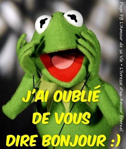 J'ai oublié de vous dire bonjour :) | Bonjour drôle, Bonjour humour ...