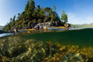 Tofino Campgrounds and Tofino Camping Information | Vancouver Island