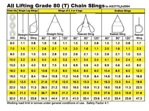 Grade 80 2 Leg Chain Sling with Self Locking Hook — All Lifting