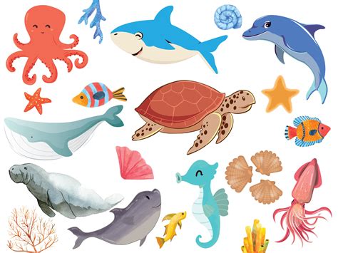 Informations About Aquatic Animals Clipart