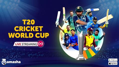 Tamasha Brings Ad-Free Live Streaming of ICC Men's T20 World Cup