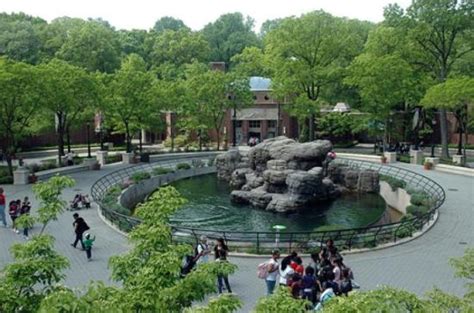 Prospect Park Zoo (Brooklyn) - 2020 All You Need to Know Before You Go (with Photos) - Brooklyn ...