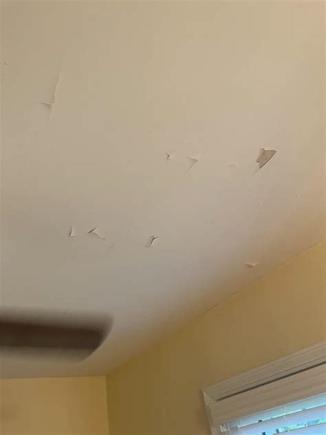 Ask Woodiwiss: why are my ceiling and walls cracking and peeling like ...