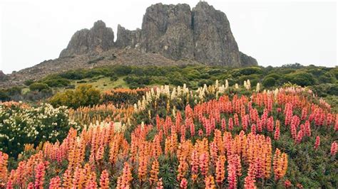 Walls of Jerusalem National Park - nine.com.au