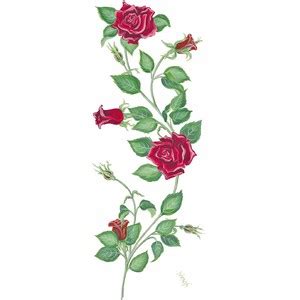 Red Rose Vine Clip Art