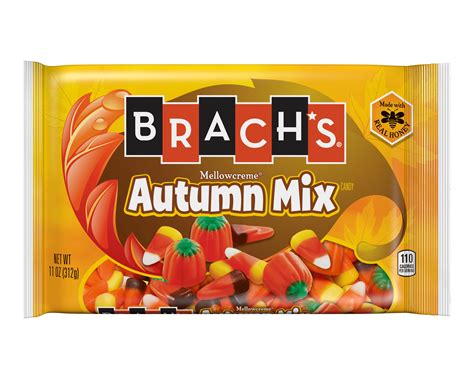 Brach's Autumn Mix Candy, 11 Ounces - Walmart.com