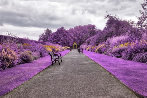 Belfast Botanic Gardens in Northern Ireland Wallpaper, HD City 4K ...