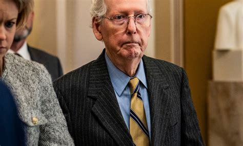 Se fue el anti-trumpista Mitch McConnell del Senado: Quiénes podrían reemplazarlo como líder del ...