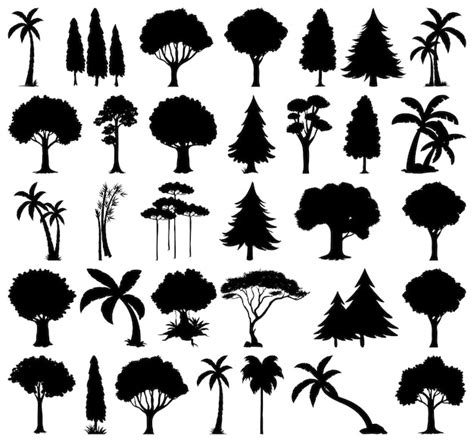 Simple Tree Silhouette Vector