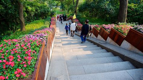 Yuexiu Park Tours - Book Now | Expedia