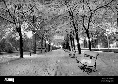 Night winter landscape Stock Photo - Alamy