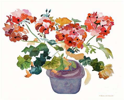 Watercolor Geraniums at PaintingValley.com | Explore collection of Watercolor Geraniums