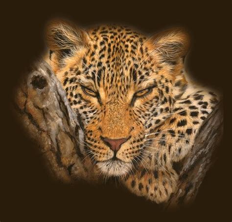 Amazing Animated Cheetah, Leopard, Panther Cat Gifs at Best Animations