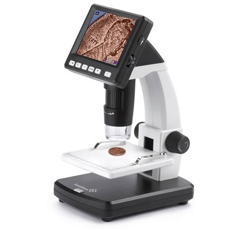 10 Best Electronic Microscopes