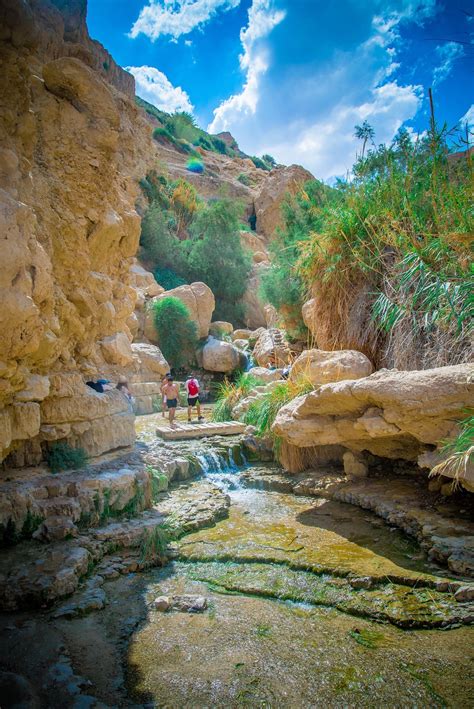 En Gedi Nature Reserve – Israel Nature and Parks Authoritya