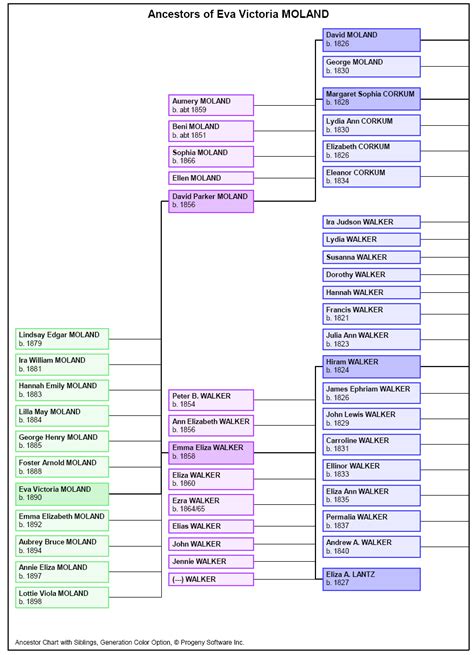 Ancestor-Siblings - Sample Family Tree Charts