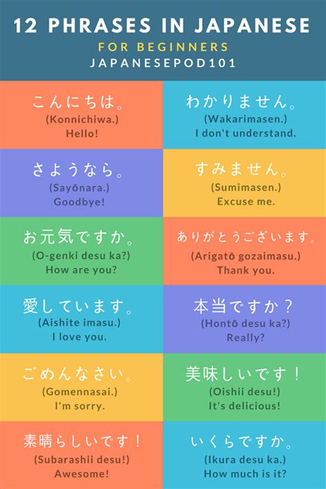 Basic japanese for beginners - loungemain