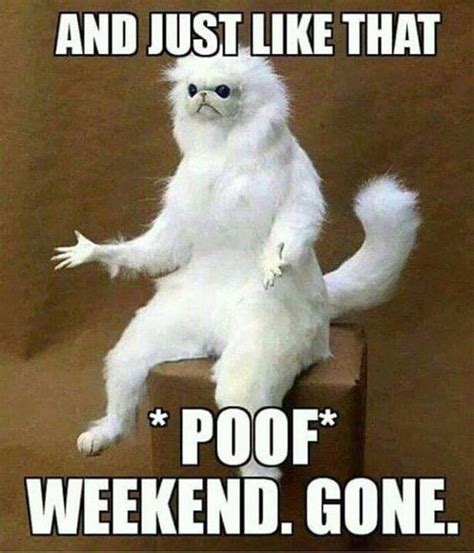 20 Sunday Night Memes That Sum Up The Weekend Ending | Funny monday memes, Work quotes funny ...