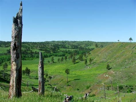 Nebraska National Forests and Grasslands - Soldier Creek Wilderness