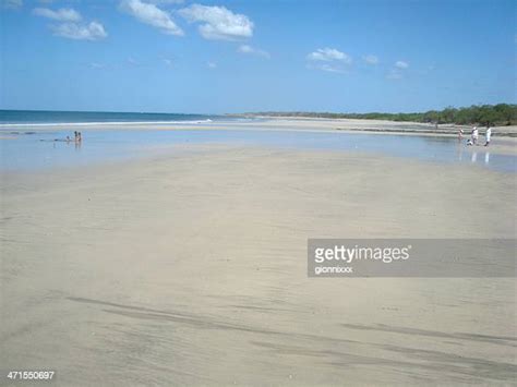 Tamarindo Wildlife Refuge Photos and Premium High Res Pictures - Getty Images