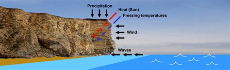 DISCOVERING FOSSILS | Coastline features and processes