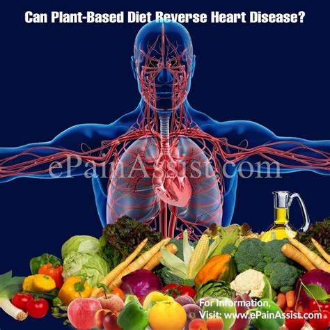 Can Vegan Diet Reverse Kidney Disease - HealthyKidneyClub.com