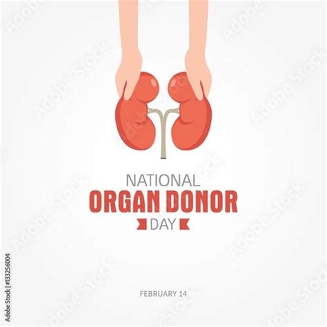 National Organ Donor Day Vector Illustration Stock Vector | Adobe Stock