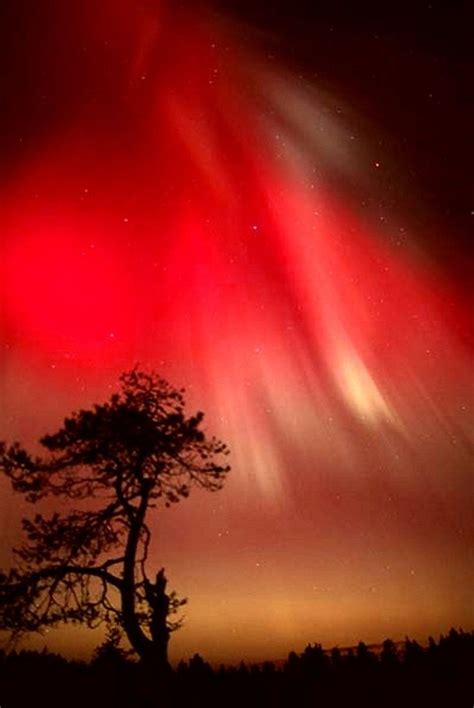 Aurora borealis - red lights | Paisaje de fantasía, Paisajes, Auroras boreales