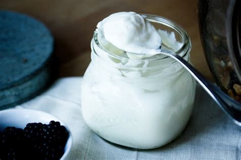 Homemade Yogurt | Feasting At Home