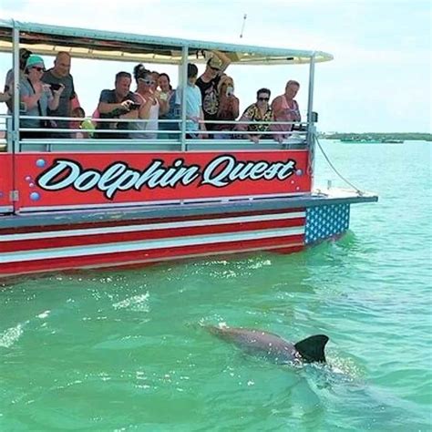 Dolphin & Sunset Tour Aboard The Dolphin Quest - TripShock!