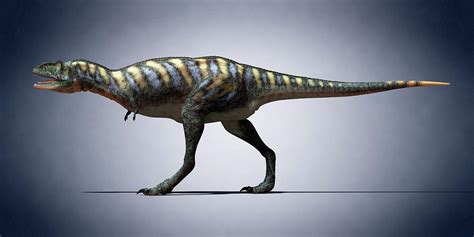 Apatosaurus Photograph by Sciepro - Pixels