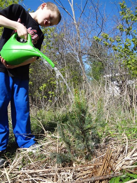 Public Awareness Ideas For Watering Trees In A Drought