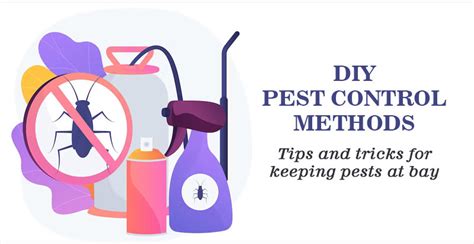 DIY Pest Control Methods: Tips and Tricks for Keeping Pests at Bay