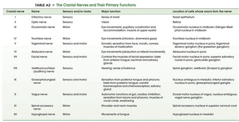 Which Cranial Nerves Have Motor And Sensory Functions - Infoupdate.org