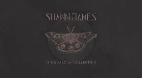 Shawn James releases new album, The Guardian Collection | Grateful Web